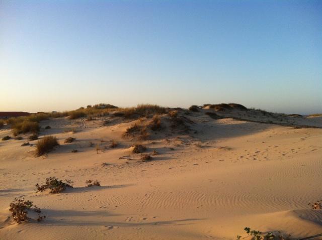 Maison Soleil - Residence Dune Blanche Biscarrosse-Plage Exteriér fotografie