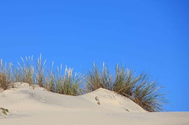 Maison Soleil - Residence Dune Blanche Biscarrosse-Plage Exteriér fotografie